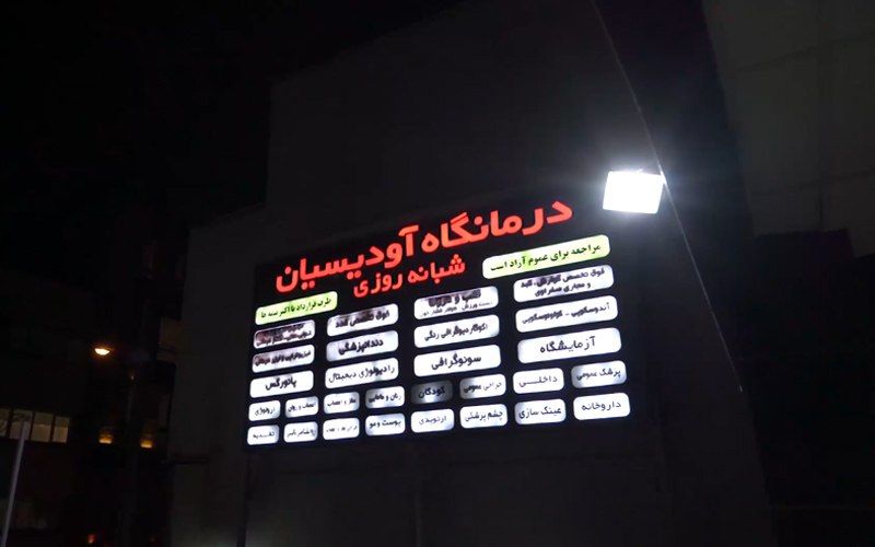 بازدید آرا شاوردیان از درمانگاه «آودیسیان»